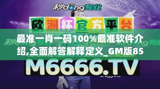 最准一肖一码100%最准软件介绍,全面解答解释定义_GM版85.353-2