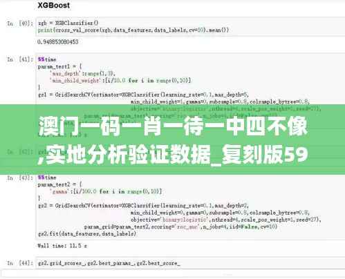 澳门一码一肖一待一中四不像,实地分析验证数据_复刻版59.309-7