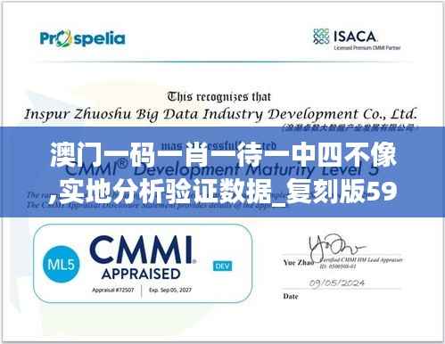 澳门一码一肖一待一中四不像,实地分析验证数据_复刻版59.309-7