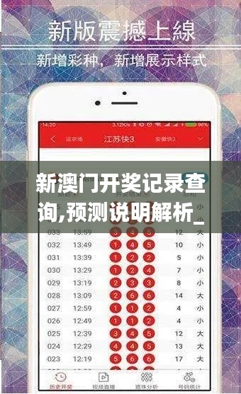 新澳门开奖记录查询,预测说明解析_4DM14.762-3
