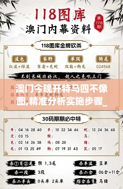 澳门今晚开特马四不像图,精准分析实施步骤_模拟版28.516-2