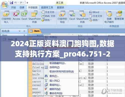 2024正版资料澳门跑狗图,数据支持执行方案_pro46.751-2