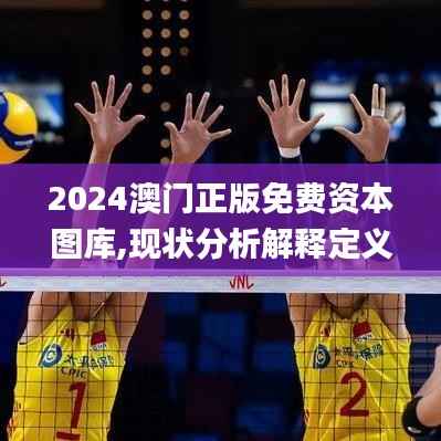 2024澳门正版免费资本图库,现状分析解释定义_网页款60.795-4