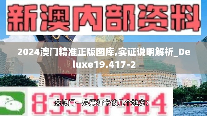 2024澳门精准正版图库,实证说明解析_Deluxe19.417-2