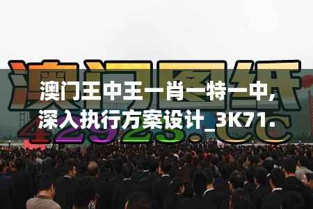 澳门王中王一肖一特一中,深入执行方案设计_3K71.338-8