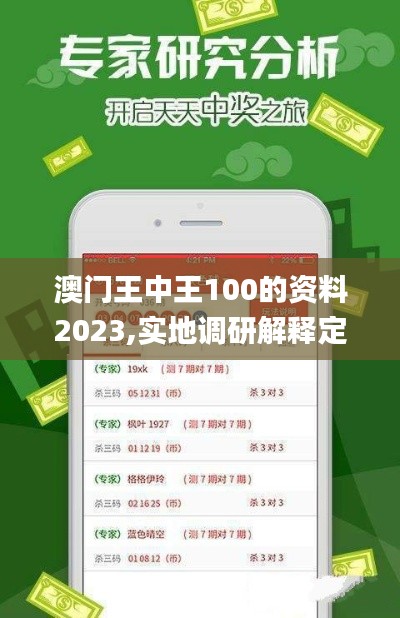 澳门王中王100的资料2023,实地调研解释定义_网页版43.916-7