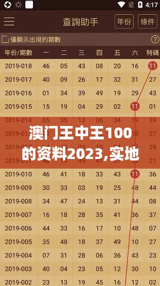 澳门王中王100的资料2023,实地调研解释定义_网页版43.916-7