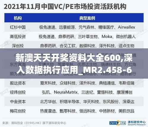 新澳天天开奖资料大全600,深入数据执行应用_MR2.458-6