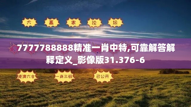 7777788888精准一肖中特,可靠解答解释定义_影像版31.376-6