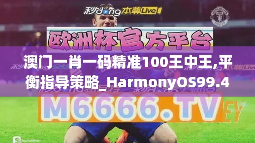 澳门一肖一码精准100王中王,平衡指导策略_HarmonyOS99.440-7