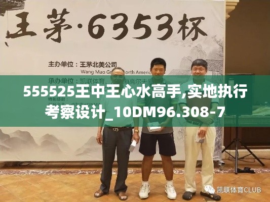 555525王中王心水高手,实地执行考察设计_10DM96.308-7