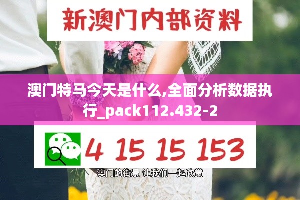 澳门特马今天是什么,全面分析数据执行_pack112.432-2