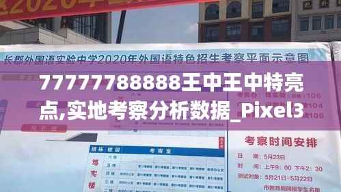 77777788888王中王中特亮点,实地考察分析数据_Pixel34.738-6