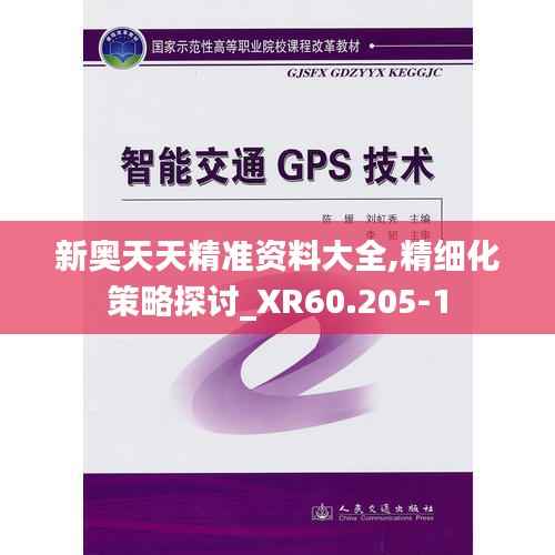 新奥天天精准资料大全,精细化策略探讨_XR60.205-1