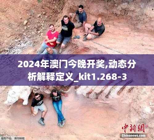 2024年澳门今晚开奖,动态分析解释定义_kit1.268-3