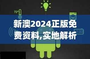 新澳2024正版免费资料,实地解析数据考察_安卓10.815-5