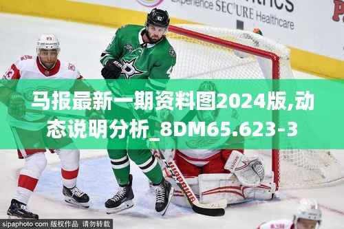 马报最新一期资料图2024版,动态说明分析_8DM65.623-3