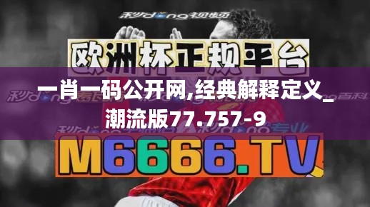 一肖一码公开网,经典解释定义_潮流版77.757-9