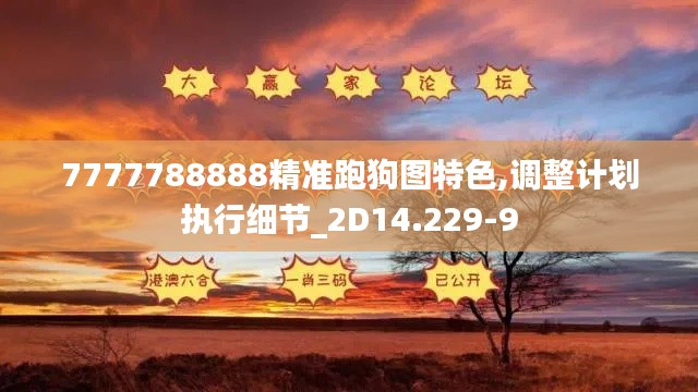 7777788888精准跑狗图特色,调整计划执行细节_2D14.229-9