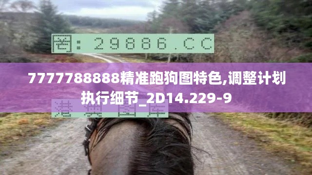 7777788888精准跑狗图特色,调整计划执行细节_2D14.229-9