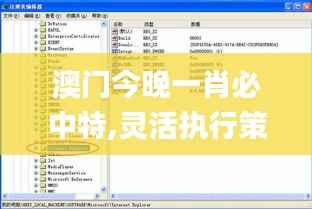 澳门今晚一肖必中特,灵活执行策略_Surface46.739-7
