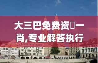 大三巴免费资枓一肖,专业解答执行_2D2.416-1
