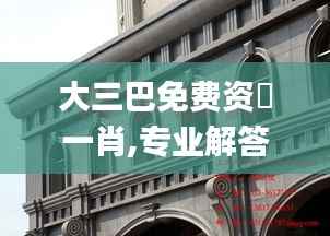 大三巴免费资枓一肖,专业解答执行_2D2.416-1