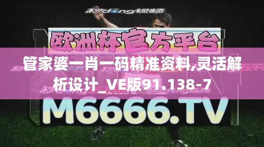 管家婆一肖一码精准资料,灵活解析设计_VE版91.138-7