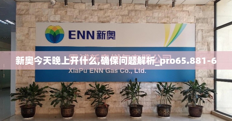 新奥今天晚上开什么,确保问题解析_pro65.881-6