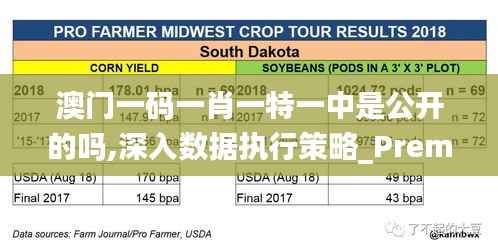 花香鸟语 第8页