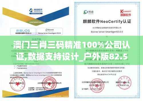 澳门三肖三码精准100%公司认证,数据支持设计_户外版82.513-6
