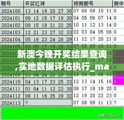 新澳今晚开奖结果查询,实地数据评估执行_macOS32.185-3