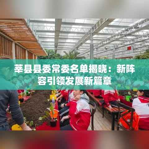 莘县县委常委名单揭晓：新阵容引领发展新篇章