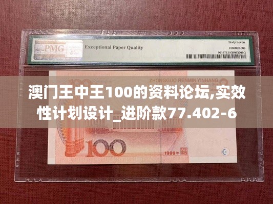 澳门王中王100的资料论坛,实效性计划设计_进阶款77.402-6