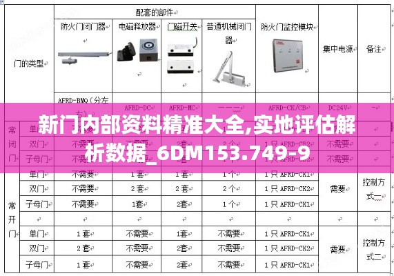 新门内部资料精准大全,实地评估解析数据_6DM153.749-9