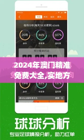 2024年澳门精准免费大全,实地方案验证策略_PalmOS22.402-7