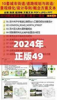 2024年正版4949资料正版免费大全,稳定设计解析策略_BT31.176-8