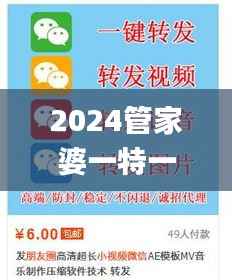 2024管家婆一特一肖,实践性执行计划_工具版28.194-6