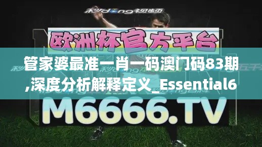 管家婆最准一肖一码澳门码83期,深度分析解释定义_Essential65.788-8