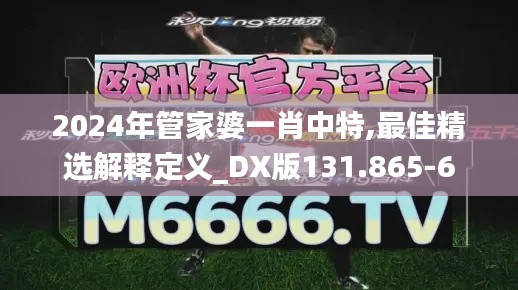 2024年管家婆一肖中特,最佳精选解释定义_DX版131.865-6
