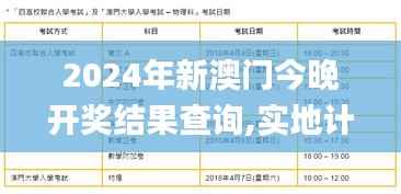 2024年新澳门今晚开奖结果查询,实地计划设计验证_创意版175.608-6