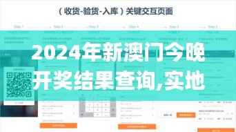 2024年新澳门今晚开奖结果查询,实地计划设计验证_创意版175.608-6