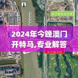 2024年今晚澳门开特马,专业解答执行_特供款33.679-2
