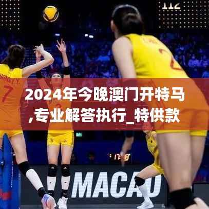 2024年今晚澳门开特马,专业解答执行_特供款33.679-2