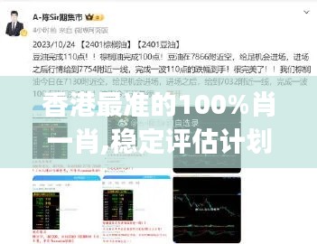 香港最准的100%肖一肖,稳定评估计划_C版111.988-9