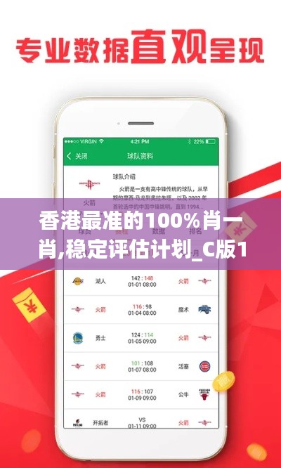 香港最准的100%肖一肖,稳定评估计划_C版111.988-9