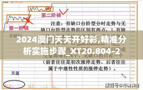 2024澳门天天开好彩,精准分析实施步骤_XT20.804-2