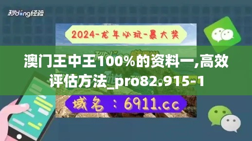 澳门王中王100%的资料一,高效评估方法_pro82.915-1