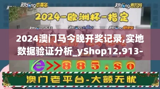 2024澳门马今晚开奖记录,实地数据验证分析_yShop12.913-6