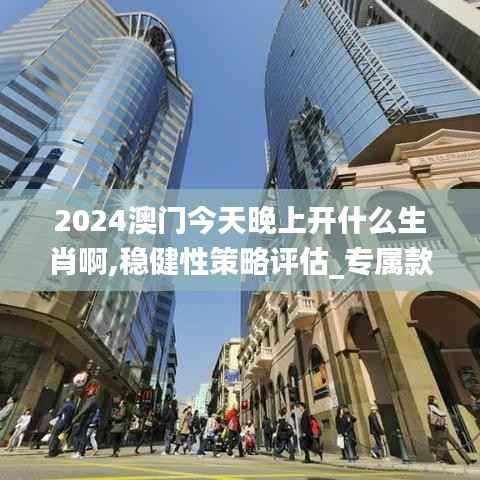 2024澳门今天晚上开什么生肖啊,稳健性策略评估_专属款15.207-6